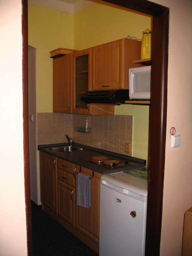 Apartmany Ingeborg Jáchymov Esterno foto